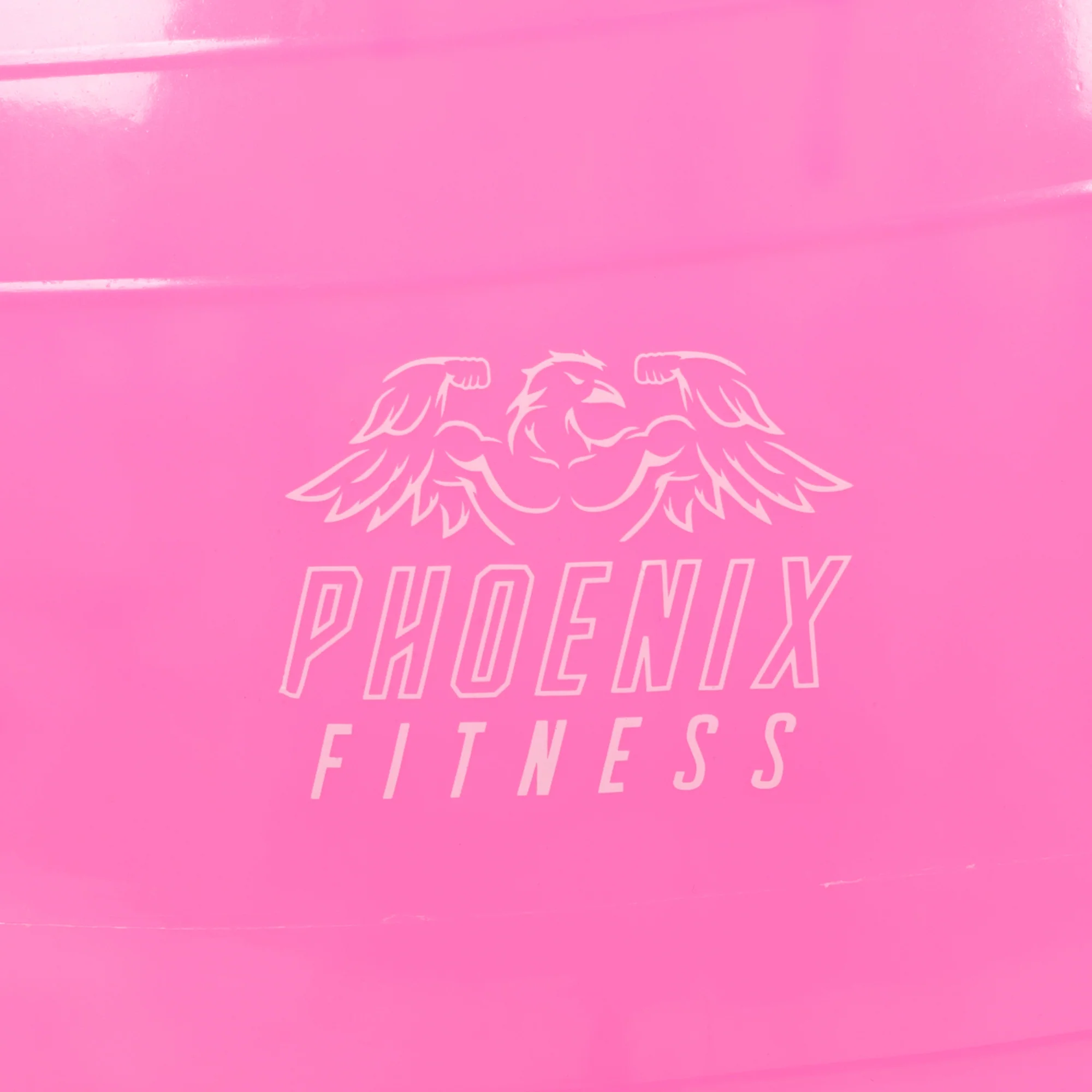 Phoenix Fitness 65cm Anti Burst Fitness Ball