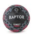 Raptor Street Ball