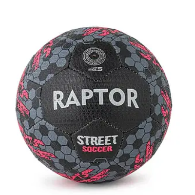 Raptor Street Ball