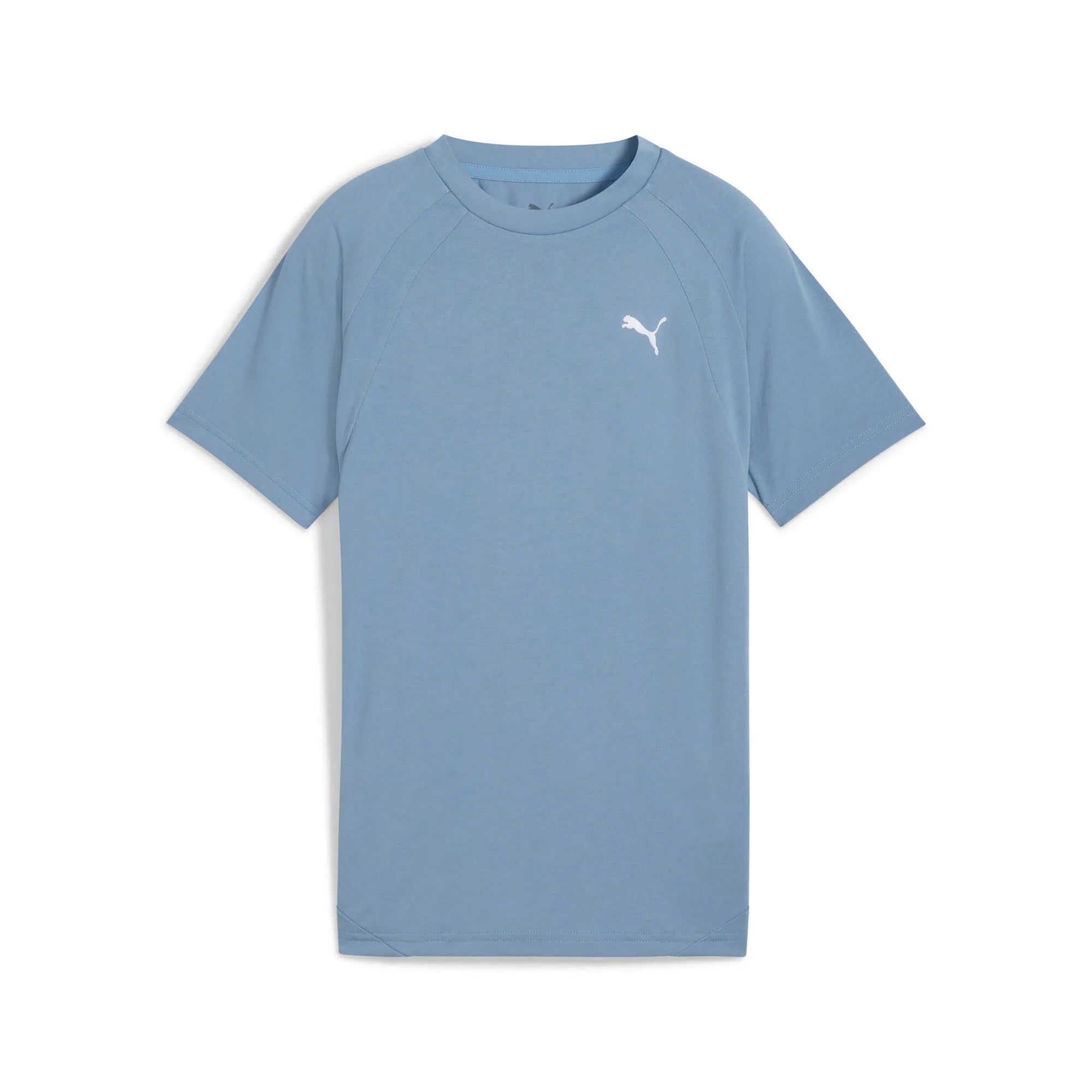 Puma Junior Evostripe Tee