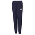 Puma Junior Ess Logo Pants