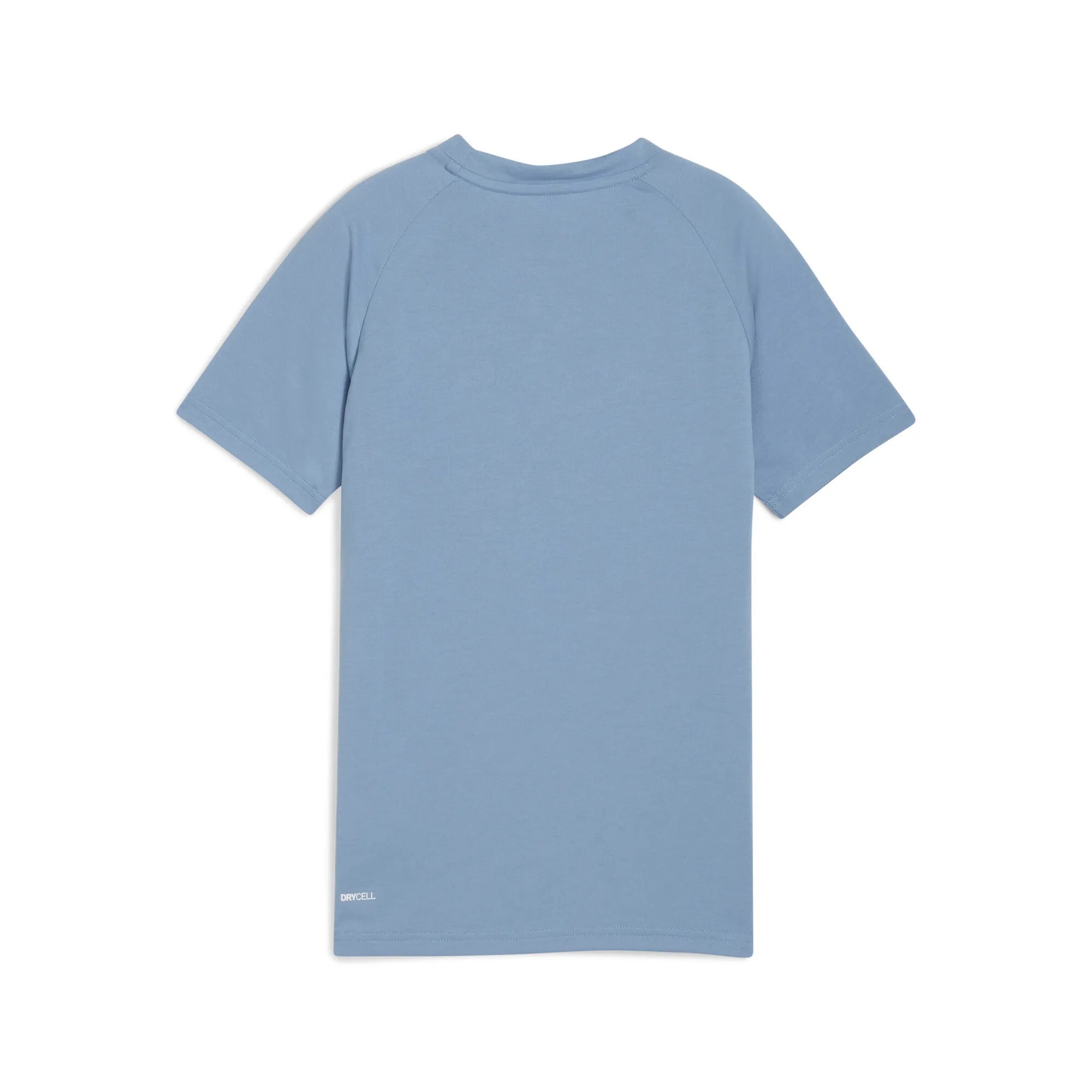 Puma Junior Evostripe Tee